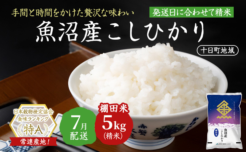 令和7年産米】魚沼産こしひかり 棚田米(十日町地域) 精米 2kg 1月配送