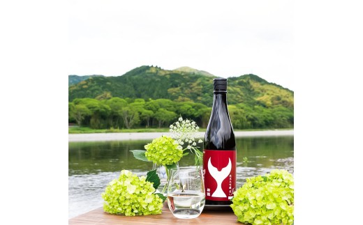 日本酒 酔鯨飲み比べセット 純米大吟醸 象（Sho）丞（Joh）寅（Tora）兵庫山田錦50% 720ml 各1本 合計4本 お酒 酒 さけ すいげい 地酒 アルコール おさけ 食中酒 おいしい ギフト お祝い 父 誕生日 冷蔵 配送 返礼品