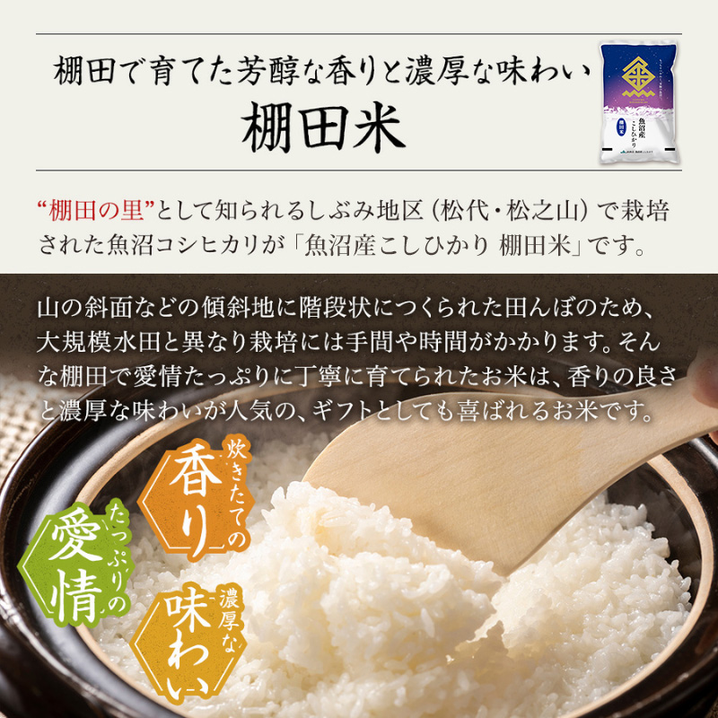 【令和7年産米】魚沼産こしひかり 棚田米(十日町地域) 精米 2kg 8月配送 お米 精米 こめ ご飯 白米 旧：五郎兵衛