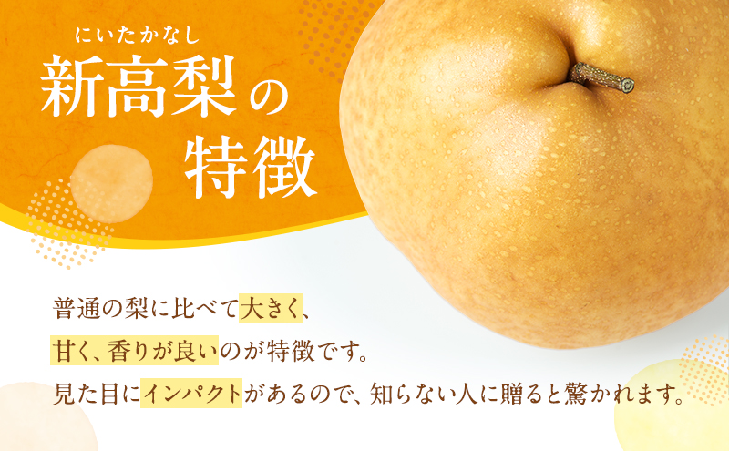 岡山県赤磐市のふるさと納税 梨 2025年 新高梨（にいたかなし）オリジナルギフト箱 5玉入り（約4kg）赤磐市赤坂産 なし フルーツ 果物