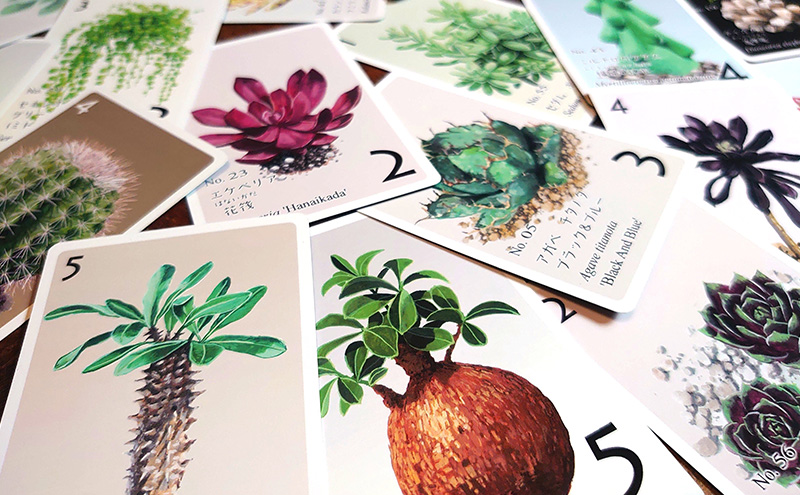 カードゲーム サキュレント・ガーデン ゲーム ボードゲーム テーブルゲーム アナログゲーム ボドゲ オリジナル シンプル 愛知県 日進市