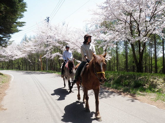 長野県小諸市のふるさと納税 まきば軽井沢　まったり100分乗馬体験　1名様 長野 信州 小諸 大自然 体験チケット