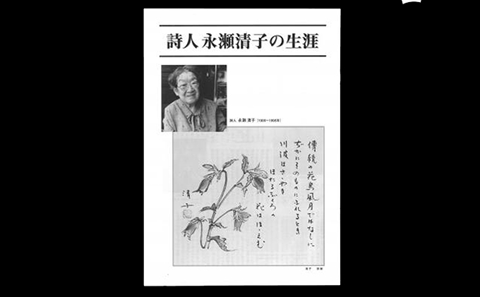 岡山県赤磐市のふるさと納税 詩人永瀬清子作品集 詩集 本