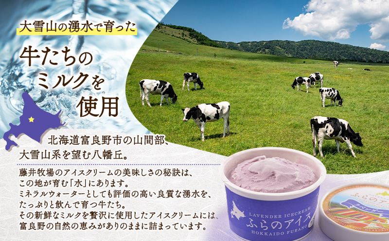 北海道富良野市 ふらの アイスクリーム 5個 5種×1個 (ディームファクトリー) アイス デザート 北海道 富良野市 道産 直送 ふらの 贈り物 ギフト