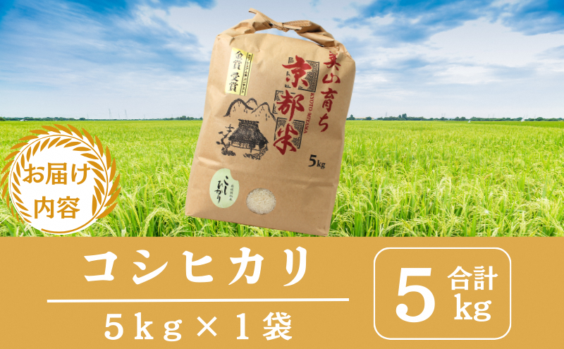 令和7年産 京都丹波産コシヒカリ 5kg　米 こしひかり 精米 白米 ごはん 京都府 丹波