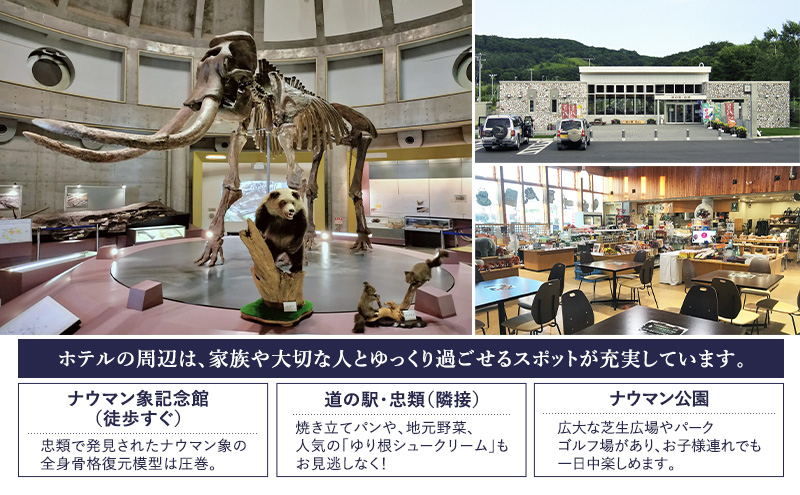 【平日限定】十勝ナウマン温泉 ホテルアルコ 素泊まり宿泊券 1名様分【 北海道 幕別町 十勝 ナウマン温泉 ホテルアルコ 宿泊券 1名 平日限定 素泊まり ビジネス 一人旅 温泉 】