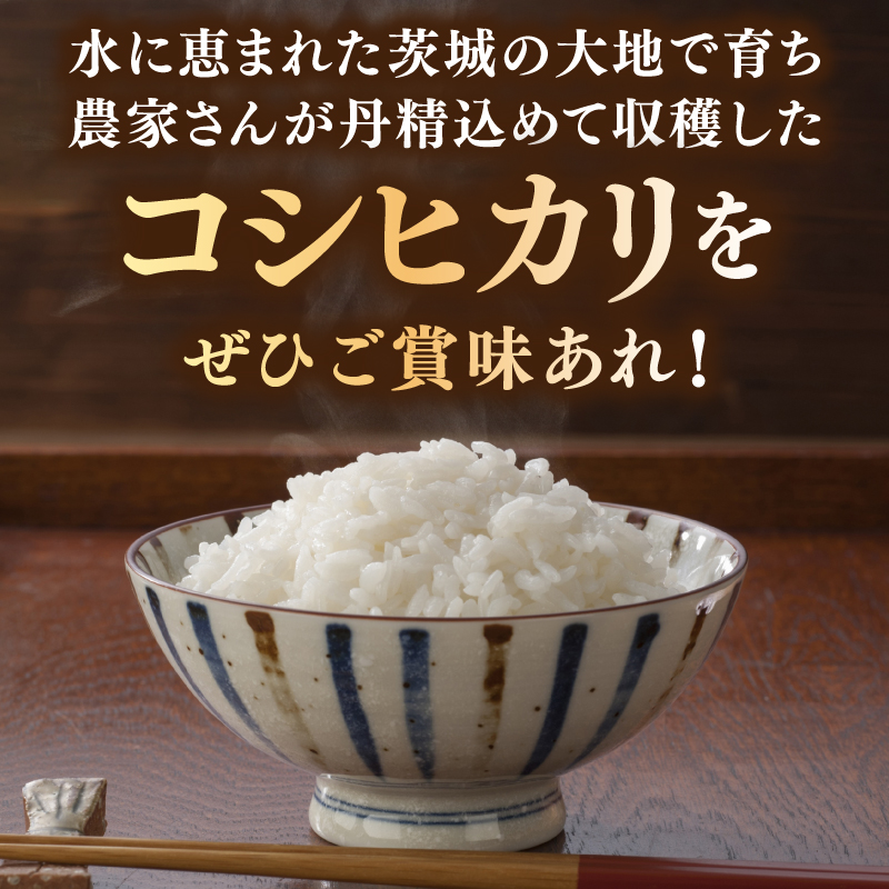 【12ヶ月定期便】コシヒカリ 5kg (総計 60kg)【令和7年産】米 精米 白米 こしひかり 定期便 茨城県 鹿嶋市 国産 送料無料 お米 ごはん おにぎり 冷めても 美味しい 粘り うまみ 厳選 出荷直前精米 ツヤ かおり うまい（KY-22）