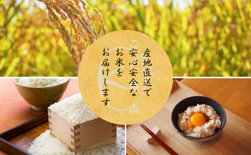 【定期便3回】令和7年産 にじのきらめき 10kg 美山町産 こと美山米