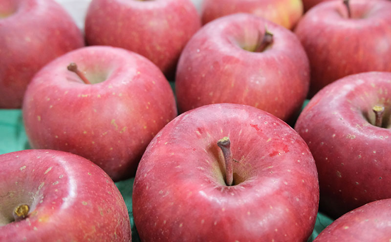 りんご 【1月・2月発送】 糖度13度以上 おもてなし用 家庭用 サンふじ 約 5kg 【 青森りんご  果物 フルーツ デザート 食後 青森県産 産地直送 贈り物  】