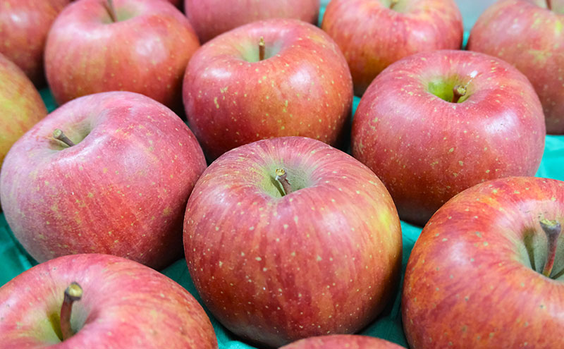 りんご 【1月・2月発送】 糖度13度以上 おもてなし用 家庭用 サンふじ 約 5kg 【 青森りんご  果物 フルーツ デザート 食後 青森県産 産地直送 贈り物  】