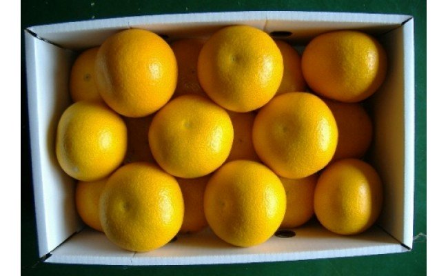 BB6060_和歌山由良町産 はっさく 約5kg (訳あり)(ご家庭用) サイズ混合 (S～3L)