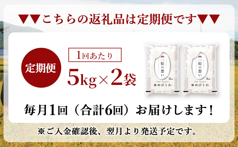 令和7年産 北海道 赤平産 ゆめぴりか 10kg 【限定寄附額】6ヵ月連続お届け 白米 精米 米 北海道 ごはん ご飯 ライス おにぎり 定期便 定期 お楽しみ 6回