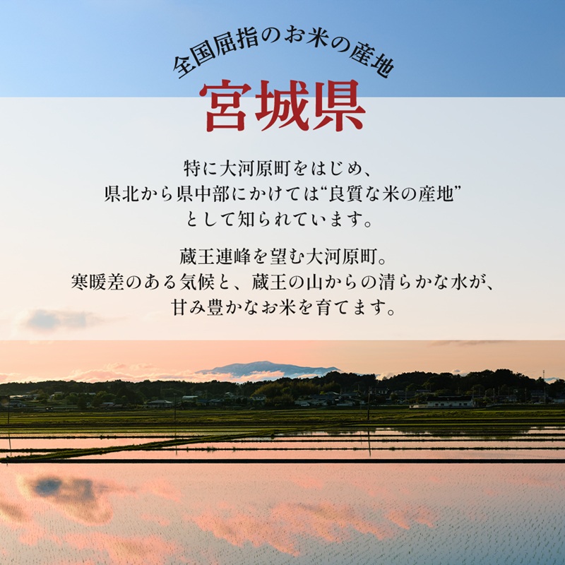 令和7年産 【定期便 6回】宮城県大河原町産 ひとめぼれ 5kg×1袋 ×6ヵ月(計30kg) 米 お米 精米 白米 令和7年 宮城県産