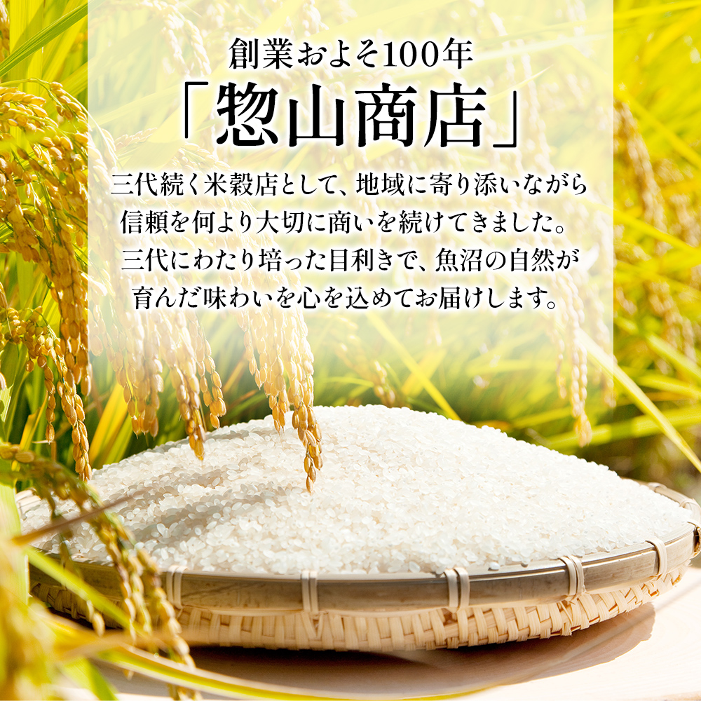 令和7年度産【十日町産】 魚沼産コシヒカリ10kg 米 お米 こしひかり 精米 新潟 