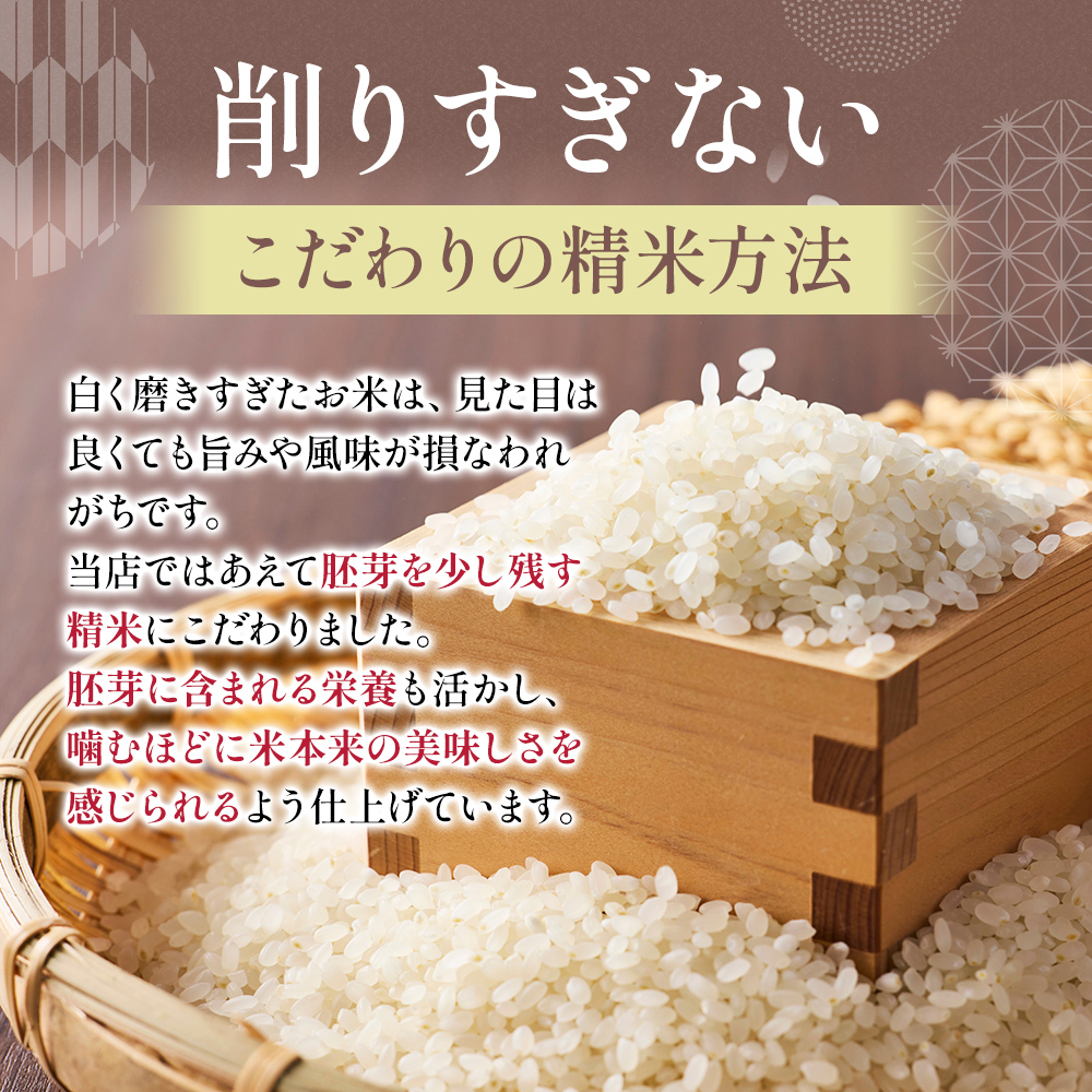 令和7年度産【十日町産】 魚沼産コシヒカリ20kg 米 お米 こしひかり 精米 新潟 