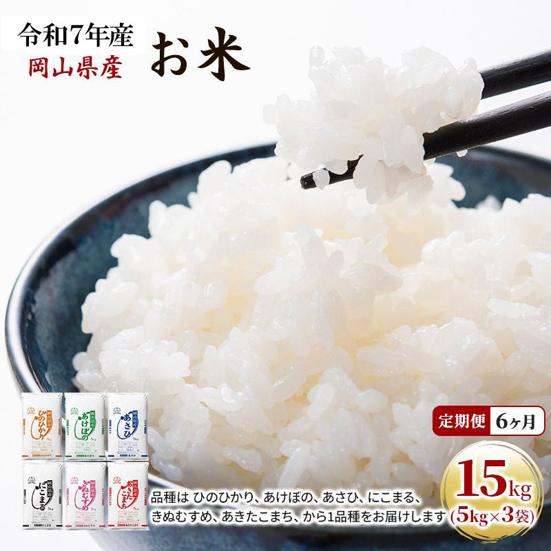 米 特A ランク きぬむすめ 10kg （5kg×2袋） 令和7年産 こめ コメ 白米 