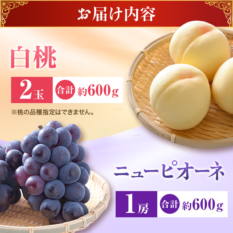 【2026年先行受付】 白桃 ニューピオーネ 約1.2kg セット 桃 2玉 ぶどう 1房 岡山県産  御中元 ギフト 御礼 プレゼント 御礼 御祝 御供 果物 くだもの フルーツ もも モモ 葡萄 ブドウ