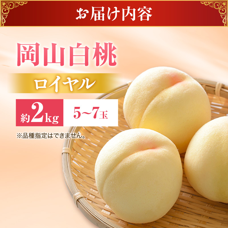 【2026年先行受付】 白桃 特秀 ロイヤル 大玉 約2kg(5～7玉) 岡山県産 桃 もも モモ 御中元 ギフト 御礼 プレゼント 御礼 御祝 御供 果物 くだもの フルーツ