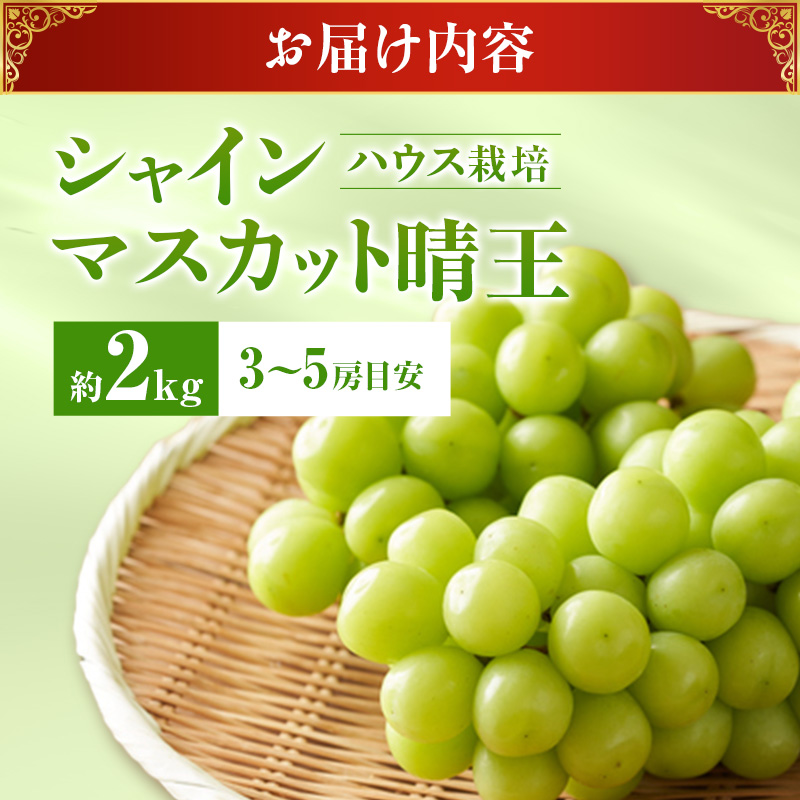 【2026年先行受付】 シャインマスカット 晴王 ハウス栽培 約2kg(3～5房目安) 岡山県産 ぶどう 葡萄 ブドウ 御中元 ギフト 御礼 プレゼント 御礼 御祝 御供 果物 くだもの フルーツ