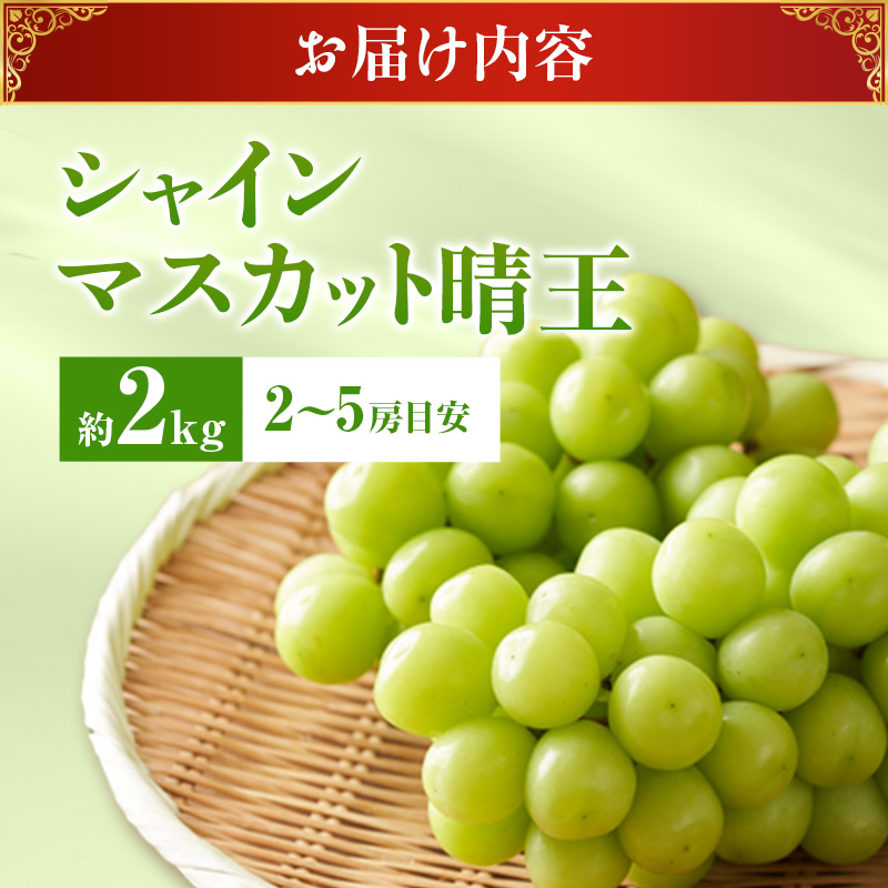【2026年先行受付】 シャインマスカット 晴王 秀品 大房 約2kg(2～5房) 岡山県産 ぶどう 葡萄 ブドウ ギフト 御礼 プレゼント 御礼 御祝 御供 果物 くだもの フルーツ