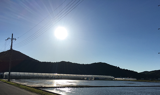 【7年産】近江米 環境こだわり米 みずかがみ 無洗米【5kg×1】【BN15W】みずかがみ 米 お米 こめ コメ 白米 ご飯 精米 5kg 10kg 国産 送料無料 おすすめ 人気 大人気 国産 ランキング 無洗米