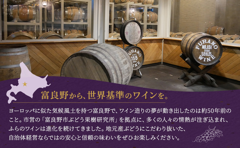 オススメ！！ふらのワイン 白 3本セット (お酒 酒 ワイン ぶどう 飲み物 アルコール 北海道 送料無料 道産 富良野市 ふらの)