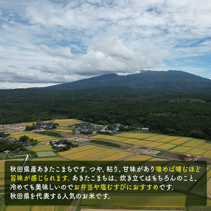 米 無洗米 あきたこまち 5kg×2 令和7年産 秋田県 にかほ市 お米 こめ