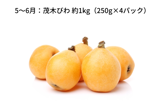 【 小豆島 】【4回お届け】土庄町 季節の果物 定期便 4回