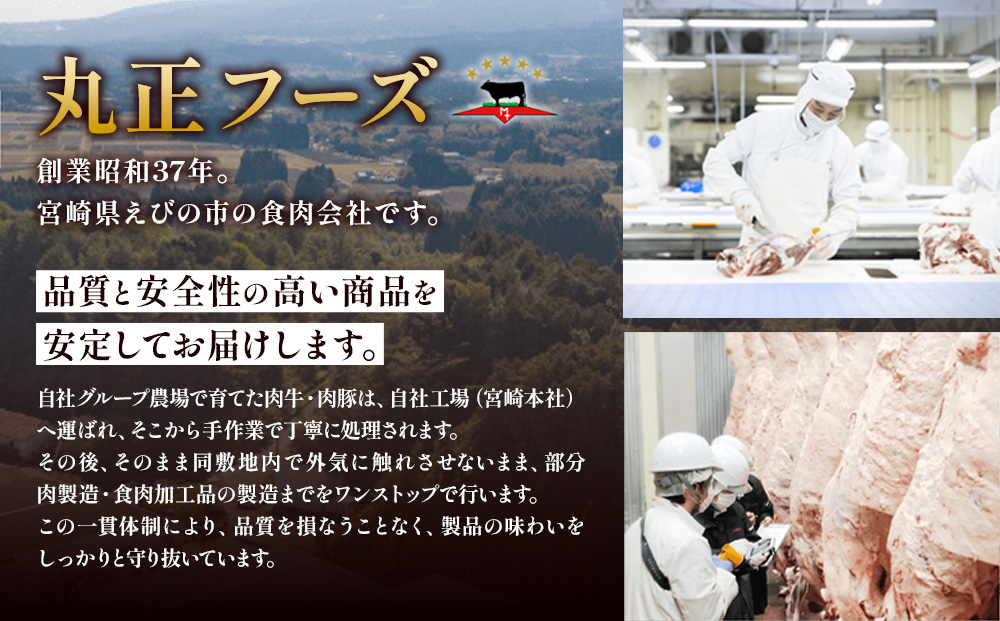 宮崎県産 黒牛 切り落とし 600g（300g×2パック） 赤身 牛肉 切り落とし 肉 お肉 牛 国産牛 小分け 真空パック コスパ 冷凍 贈答 ギフト 人気 国産 えびの市 送料無料