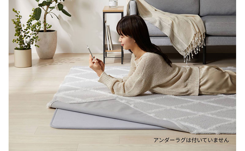 はがして洗える Hagash カバーベニワレン風 HAGCB-1318 グレージュ ラグ カバー 約1.5畳 洗える 洗濯機 おしゃれ カーペット ラグマット オールシーズン 一人暮らし リビング アイリスオーヤマ ハガッシュ Hagash カバーラグ