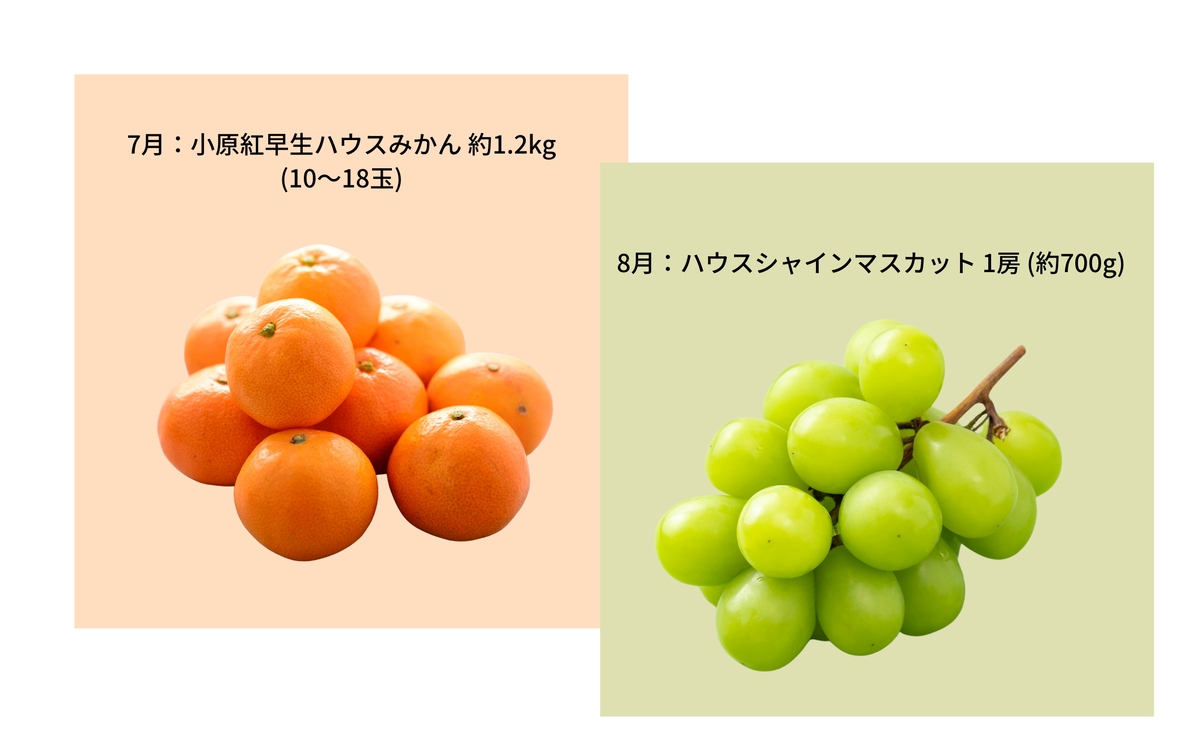 【 小豆島 】【12回お届け】土庄町 ふるさと果実 定期便 12回