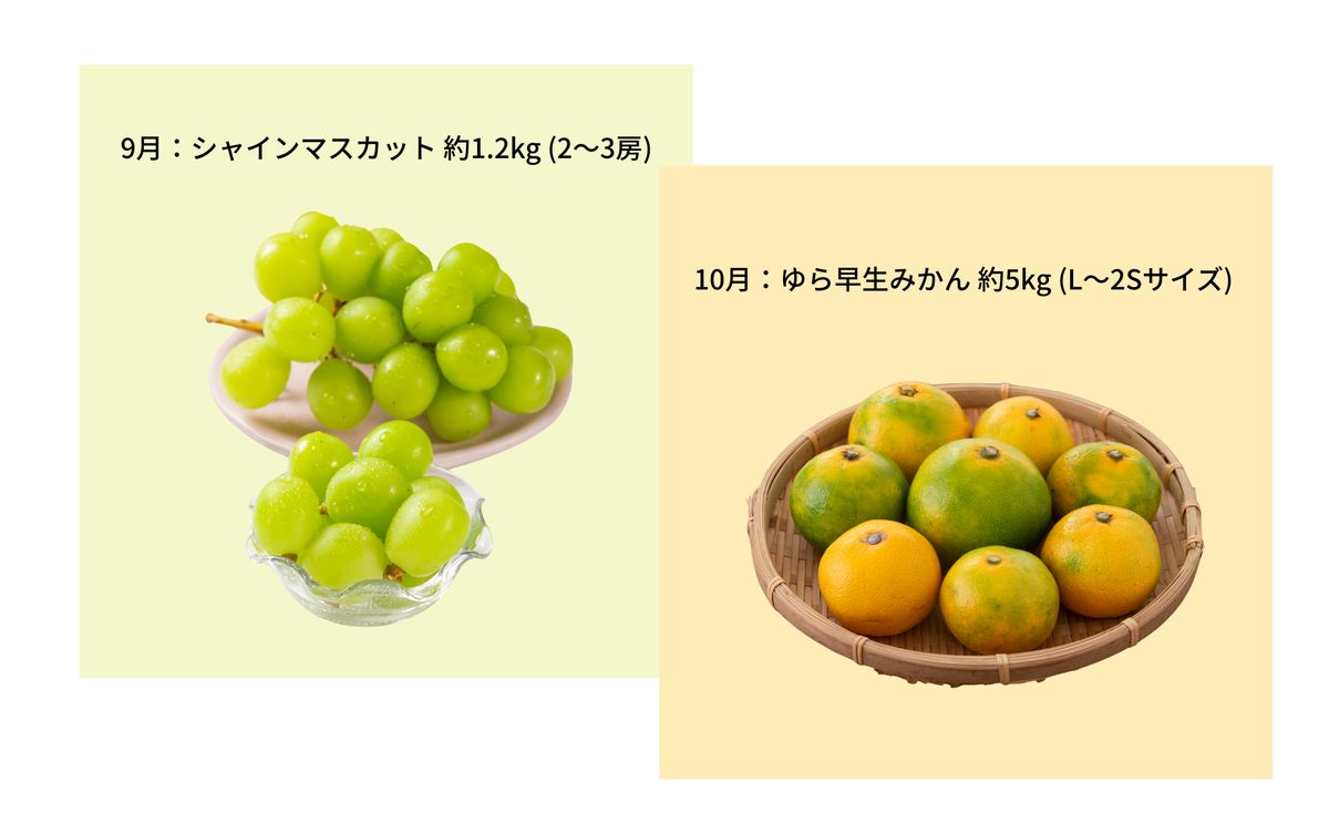 【 小豆島 】【12回お届け】土庄町 ふるさと果実 定期便 12回