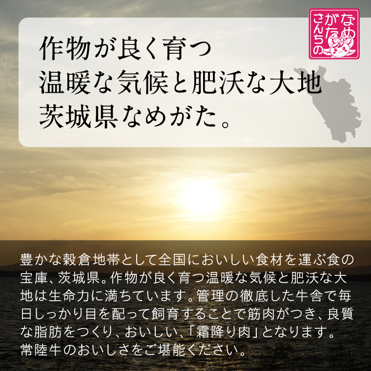 【数量限定】 牛丼の具 10袋【2026年3月中旬より順次発送】｜牛丼 お肉 常陸牛 ブランド 贅沢 簡単 茨城県 行方市(CU-322)