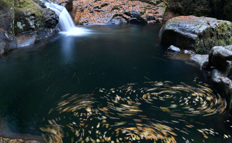 【 大阪 から90分！】＼ 令和7年OPEN キャンプ場 ／ 【Lodge Akametoテントサイト宿泊券（赤目四十八滝招待券 2名様分付き）】| キャンプ 宿泊 自然 体験 BBQ バンガロー テント ファミリー 三重