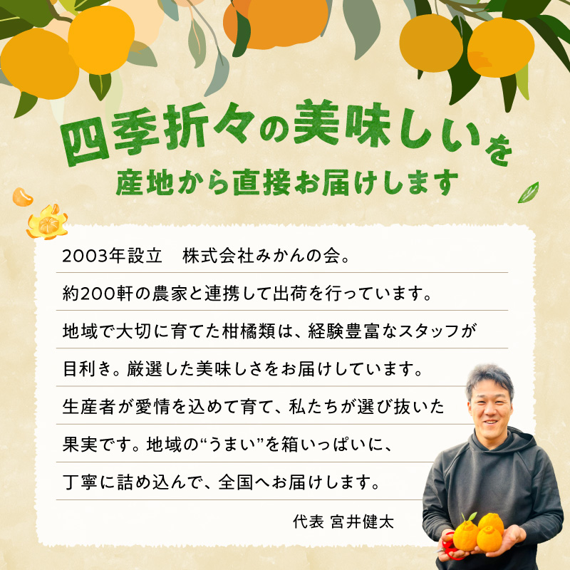 MK1050_みかん 山から直送 箱込 1kg ( 内容量 0.9kg ) 鮮度優先ごろごろ規格 和歌山県産 産地直送 【みかんの会】