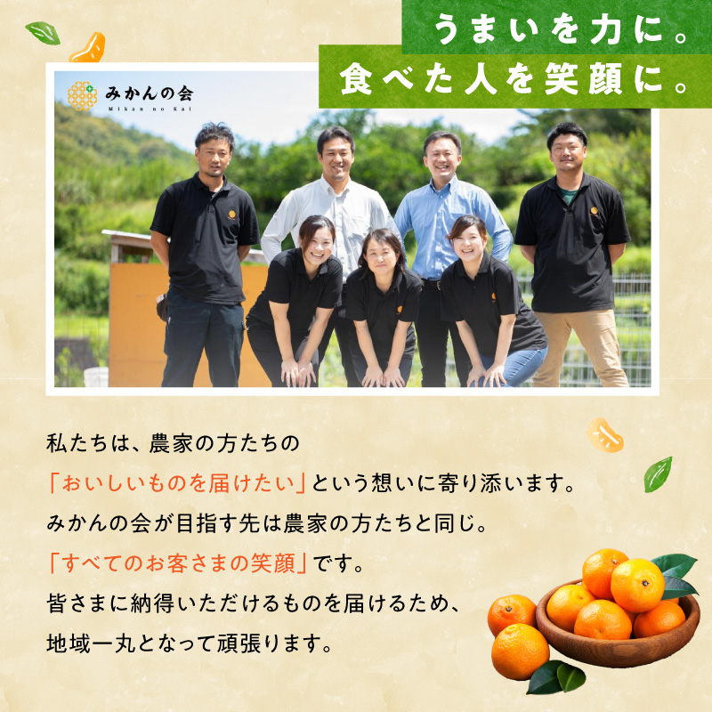 MK1034_みかん 大玉 どっこいしょ 箱込 10kg ( 内容量 9.2kg ) 2Lサイズ以上 秀品 優品 混合 有田みかん 和歌山県産 産地直送 【みかんの会】