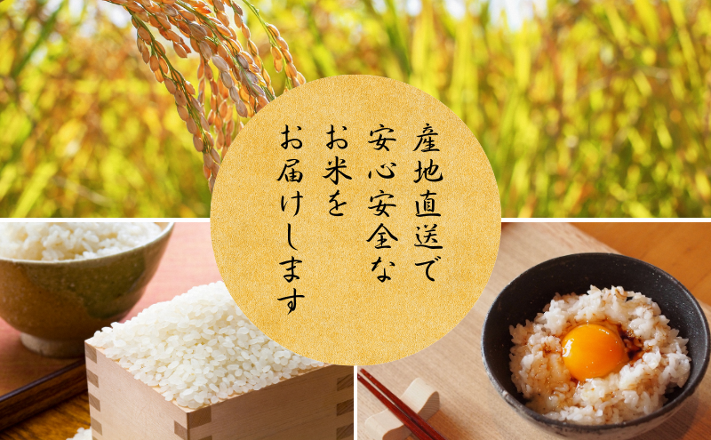 定期便 令和7年産 京都丹波産 コシヒカリ 10kg　3回