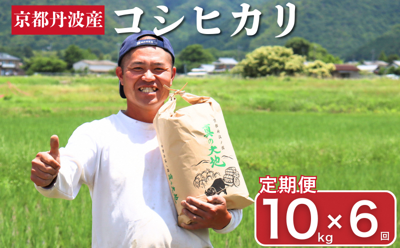 定期便 令和7年産 京都丹波産 コシヒカリ 10kg　6回