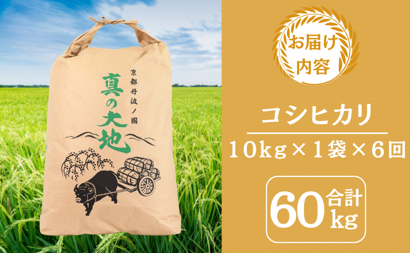 定期便 令和7年産 京都丹波産 コシヒカリ 10kg　6回