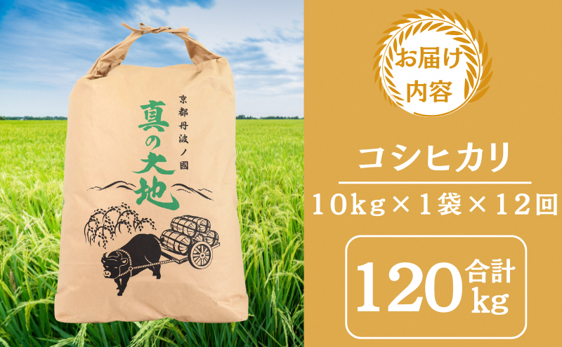 定期便 令和7年産 京都丹波産 コシヒカリ 10kg　12回