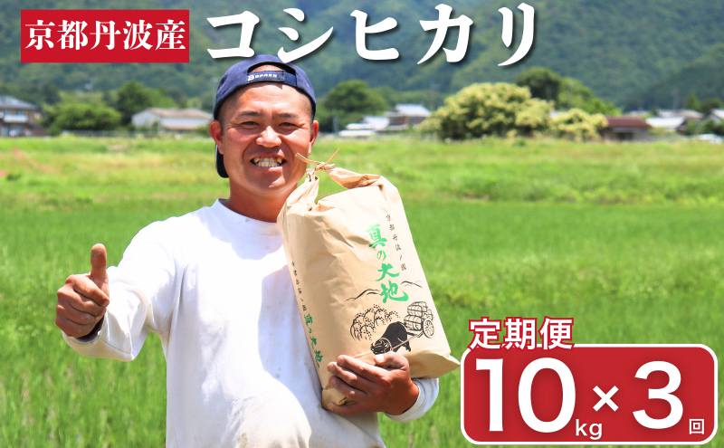定期便 令和7年産 京都丹波産 コシヒカリ 10kg　3回