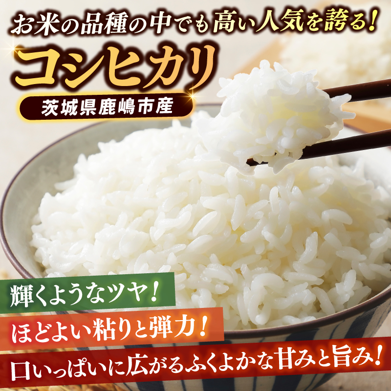 ★令和7年産米★ 【3ヶ月定期便】 お米 コシヒカリ 精米 5kg 鹿嶋市産【こしひかり 米 コメ ごはん ライス ブランド米 定期便 茨城県 鹿嶋市】(KBR-26)