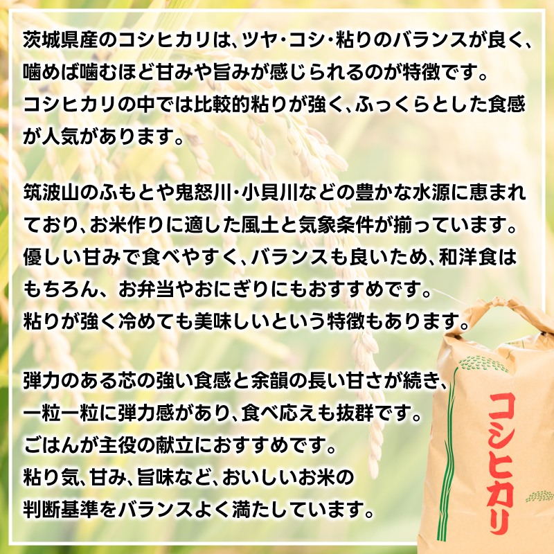 ★令和7年産米★ 【3ヶ月定期便】 お米 コシヒカリ 精米 5kg 鹿嶋市産【こしひかり 米 コメ ごはん ライス ブランド米 定期便 茨城県 鹿嶋市】(KBR-26)