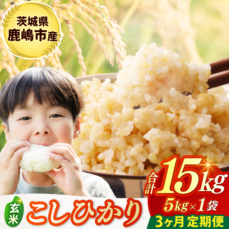 ★令和7年産米★ 【3ヶ月定期便】 お米 コシヒカリ 玄米 5kg × 3回 鹿嶋市産【こしひかり 米 コメ ごはん ライス ブランド米 定期便 茨城県 鹿嶋市】(KBR-27)