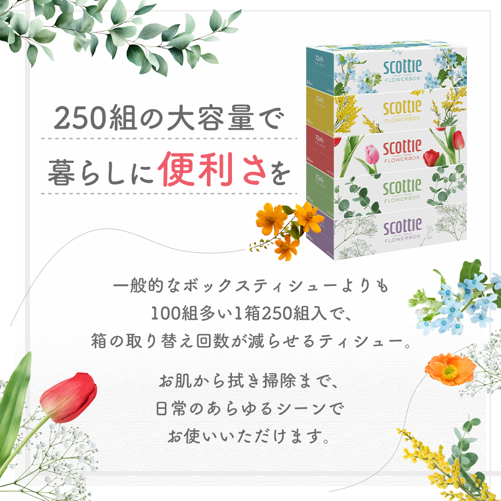 ティッシュ スコッティ フラワーボックス 60箱 ( 5箱 × 12パック) 