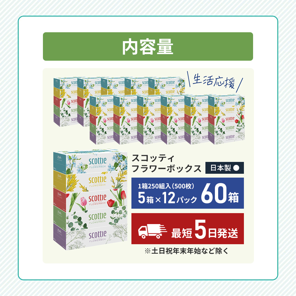 ティッシュ スコッティ フラワーボックス 60箱 ( 5箱 × 12パック) 