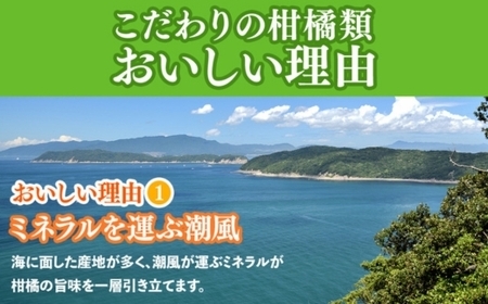 ＜1月より発送＞家庭用 柑橘詰合せ10kg+250g（傷み補償分）（傷み補償分）【訳あり・わけあり】【有田の春みかん詰め合わせ・フルーツ詰め合せ・オレンジつめあわせ】【光センサー選別】