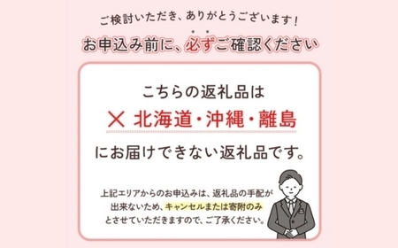 ＜1月より発送＞家庭用 柑橘詰合せ10kg+250g（傷み補償分）（傷み補償分）【訳あり・わけあり】【有田の春みかん詰め合わせ・フルーツ詰め合せ・オレンジつめあわせ】【光センサー選別】