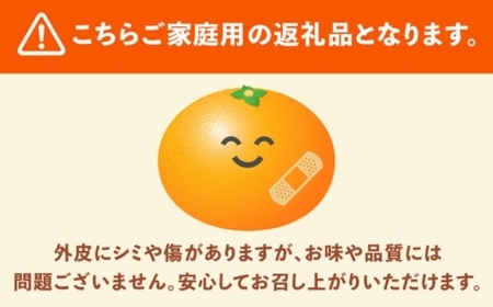＜1月より発送＞家庭用 柑橘詰合せ10kg+250g（傷み補償分）（傷み補償分）【訳あり・わけあり】【有田の春みかん詰め合わせ・フルーツ詰め合せ・オレンジつめあわせ】【光センサー選別】