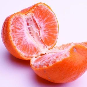 ＜1月より発送＞厳選 ポンカン1kg+250g（傷み補償分） ※北海道・沖縄・離島への配送不可 ※2026年1月下旬～2月下旬頃に順次発送予定